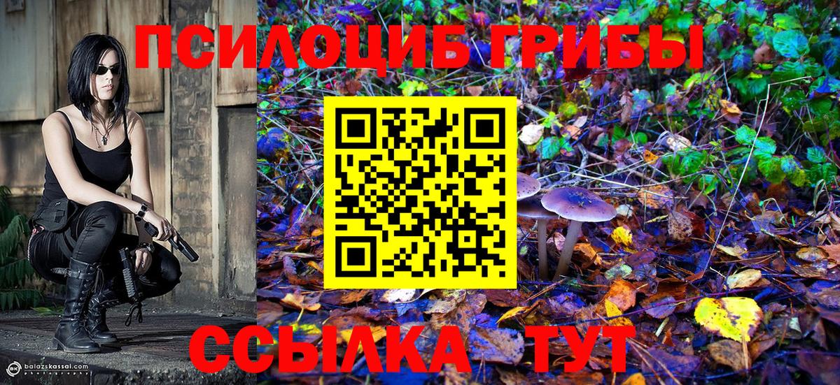 Галлюциногенные грибы Psilocybine cubensis Мариинск