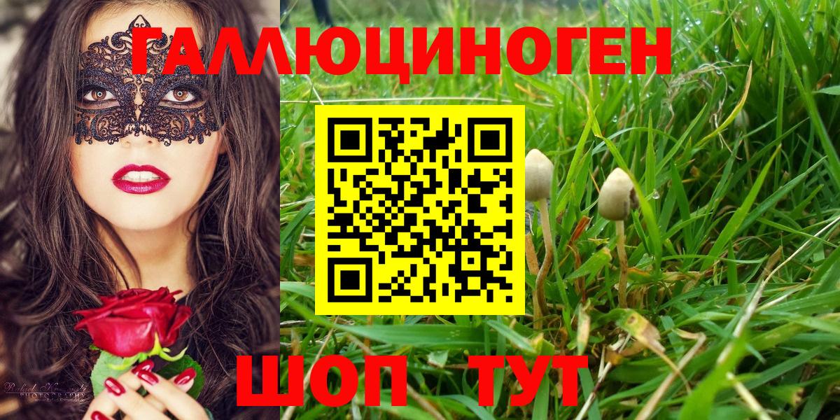 Псилоцибиновые грибы Magic Shrooms  Вход с VPN  Мариинск  Псилоцибиновые грибы прущие грибы 